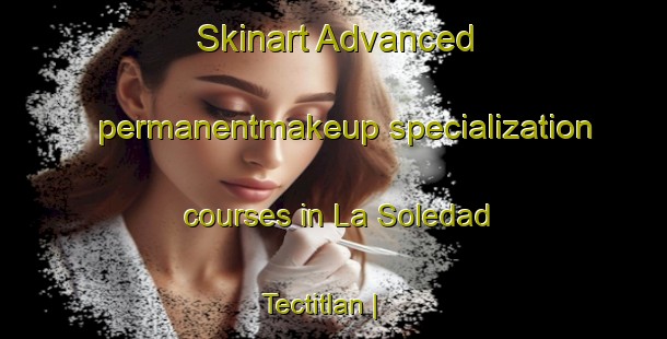 Skinart Advanced permanentmakeup specialization courses in La Soledad Tectitlan | PermanentmakeupTraining | PermanentmakeupClasses | SkinartTraining-Mexico
